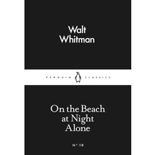 On The Beach At Night Alone