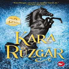 Ne Lazım Bana Kara Rüzgar