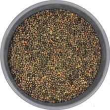 Katzoo Fiğ Tohumu – Güvercin ve Kümes Hayvanları Yemi | Doğal Proteinli Yemlik Bakliyat - 25 kg