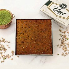 Uzel Sadeyağlı,antep Fıstıklı Düz Kadayıf Tepsili 2 kg