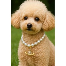 Zurafa Shop Altın Renk Gezegen Figürlü Inci Detaylı L Beden Kedi Köpek Tasma