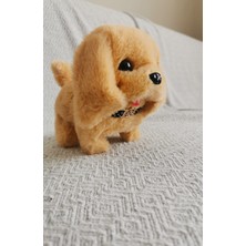 Toys Pilli Yürüyen Oyuncak Köpek, Hareketli Sesli