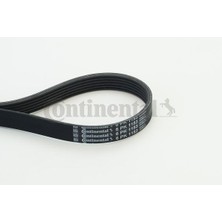 Contitech Zengemtx Kanalli Kayiş Citroen Jumper Peugeot Boxer Fiat Ducato 1.9d Renault Mgn 2.0 Vw Golfiii Pas Volvo Sea