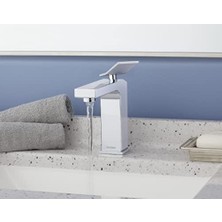 Freedom Books D225019 Avian Tek Saplı Banyo Musluğu, Krom