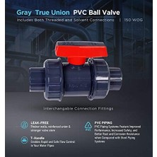 Freedom Books Midline Valve Ağır Hizmet Tipi Pvc Union Küresel Vana Pembe Sap 1-1/2" Fıp/solvent Bağlantıları Gri Plastik (482UT112)