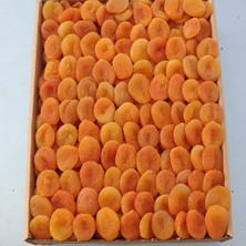 Kayısı Center Toptan Lüks Sarı Orta Boy Kayısı 10KG