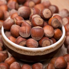 Kayısı Center Toptan Kabuklu Çiğ Fındık 10KG