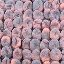 Kayısı Center Toptan Gün Kurusu Kayısı 1no 10 kg