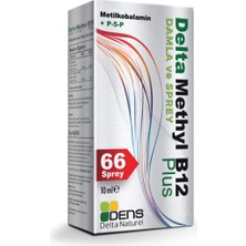 Dens Delta Naturel Delta Methyl B12 Plus Spray Methylcobalamin 10ML