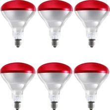 TeknoKapsül (6 Adet) 250W Kızılötesi Isıtıcılı Hayvan Isıtma Kuluçka Lambası (Kırmızı Işık) E27 (Kalın Duy)
