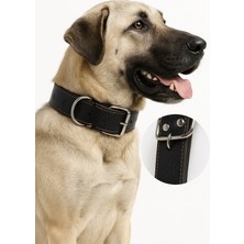 Papağanhane %100 Deri Büyük Irk Köpek Tasması 85X5 cm – Dayanıklı, Metal Tokalı, Premium Kalite