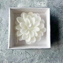 Çağıl Candles 10 Adet Lotus Mum, Beyaz Kutulu Söz, Nişan, Düğün, Kına, Doğum Günü