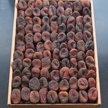 Kayısı Center Toptan Gün Kurusu Ortaboy Kayısı 10KG