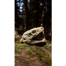 Yılan Kafatası Figürlü Sürüngen Mağarası Teraryum Dekoru