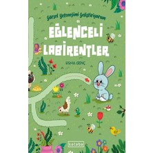 Ketebe Yayınları Eğlenceli Labirentler