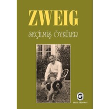Cem Yayınevi Seçilmiş Öyküler (Ciltli)
