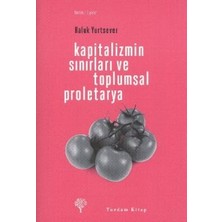 Yordam Kitap Kapitalizmin Sınırları ve Toplumsal Proletarya