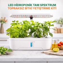 Multizone Hidroponik Topraksız Bitki Yetiştirme Kiti Tam Spektrum 139 LED Bahçe Akıllı Sistem 3 Mod