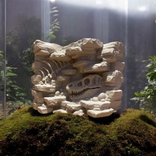 Dinozor Fosili Görünümlü Teraryum Fon