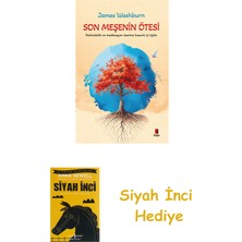Kapı Yayınları Son Meşenin Ötesi + Siyah Inci Hediye