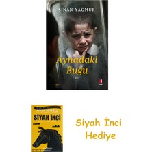 Kapı Yayınları Aynadaki Buğu + Siyah Inci Hediye