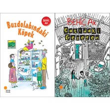Günışığı Kitaplığı Buzdolabındaki Köpek ve Çatıdaki Gezegen (Behiç Ak)