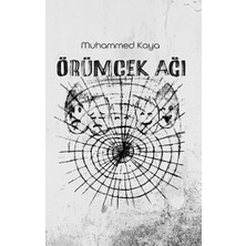 Platanus Publishing Örümcek Ağı