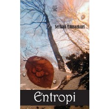 Luna Yayınları Entropi