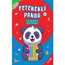 Bıcırık Yayınları Yetenekli Panda - Yaz Sil (Kalemli)