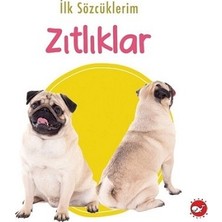 Beyaz Balina Yayınları Ilk Sözcüklerim - Zıtlıklar