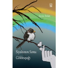 Luna Yayınları Siyahının Sonu Gökkuşağı