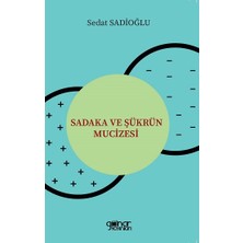 Gülnar Yayınları Sadaka ve Şükrün Mucizesi