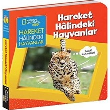 Beta Kids Natınonal Geographıc Kıds - Hareket Halindeki Hayvanlar (Board Book)