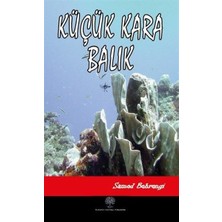 Platanus Publishing Küçük Kara Balık