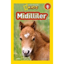Beta Kids Midilliler