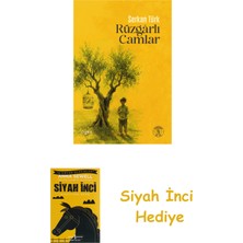 Everest Yayınları Rüzgârlı Camlar + Siyah Inci Hediye