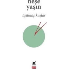 Ayrıntı Yayınları Üşümüş Kuşlar