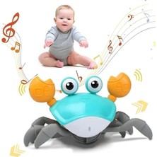 İsingir Shopping SH40381 Kut.pi̇lli̇ Yengeç -Zrv