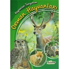 Teleskop Popüler Bilim Hayvanları Tanıyorum - Orman Hayvanları