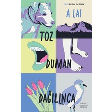 Everest Yayınları Toz Duman Dağılınca