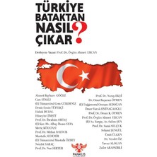 Pankuş Yayınları Türkiye Bataktan Nasıl Çıkar?