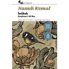 Çınar Yayınları Intibah - Sergüzeşt-I Ali Bey