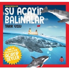 Uğurböceği Yayınları Şu Acayip Balinalar