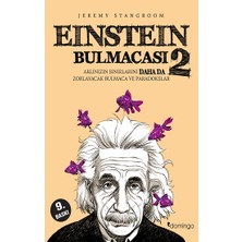 Domingo Yayınevi Einstein Bulmacası 2
