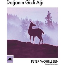 Kolektif Kitap Doğanın Gizli Ağı