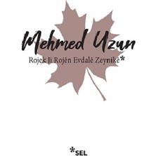 Sel Yayıncılık Rojek Ji Rojen Evdale Zeynike