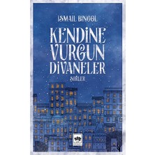 Ötüken Neşriyat Kendine Vurgun Divaneler