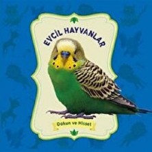 0-6 Yaş Yayınları Dokun ve Hisset: Evcil Hayvanlar