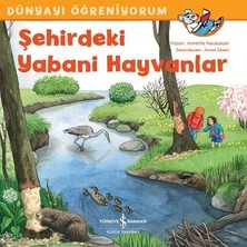 İş Bankası Kültür Yayınları Şehirdeki Yabani Hayvanlar - Dünyayı Öğreniyorum