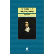 Ayrıntı Yayınları Spinoza ile Karşılaşmalar